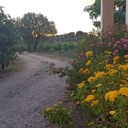 Agriturismo Muristene Villa Dorgali Dış mekan fotoğraf