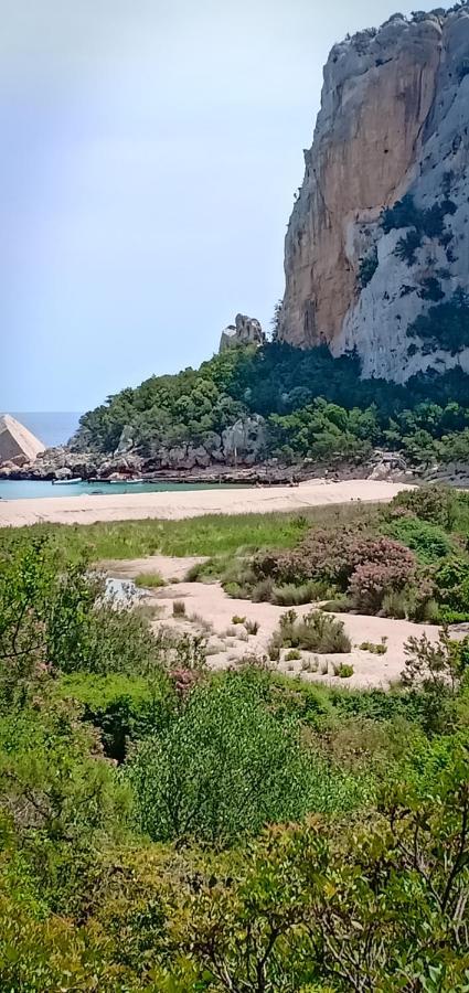 Agriturismo Muristene Villa Dorgali Dış mekan fotoğraf