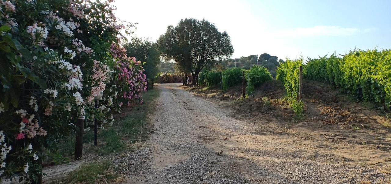 Agriturismo Muristene Villa Dorgali Dış mekan fotoğraf