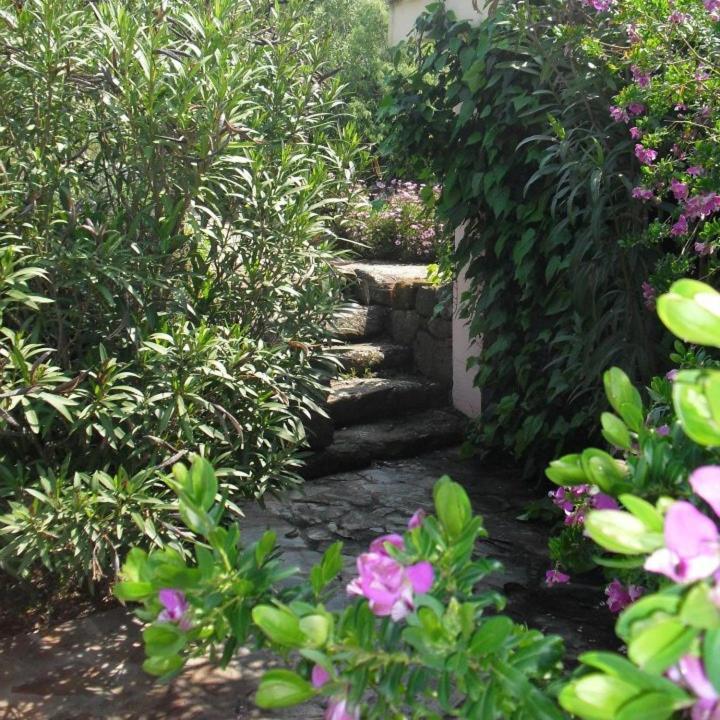 Agriturismo Muristene Villa Dorgali Dış mekan fotoğraf